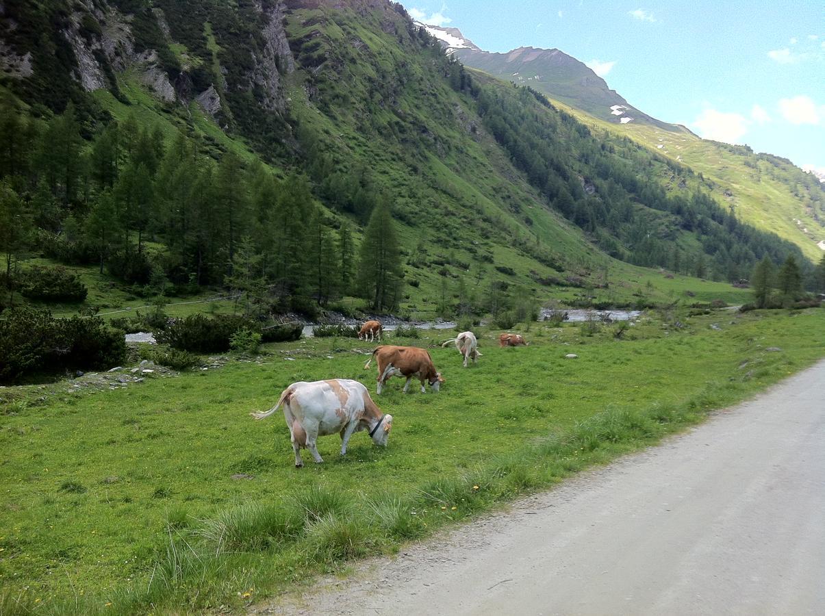 Scol Sporthotel Grossglockner Kals-am Großglockner Exterior foto